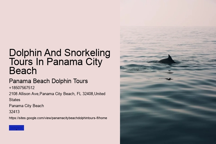 Best Time For Dolphin Watching In Florida
