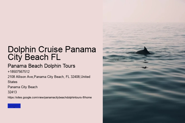 About Shell Island & Dolphins