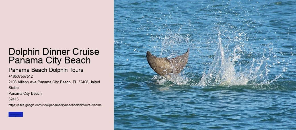 Why Not To Swim With Dolphins
