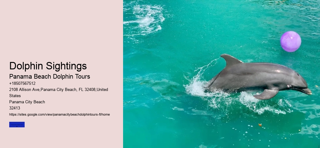 What Do Male Dolphins Do To Female Dolphins