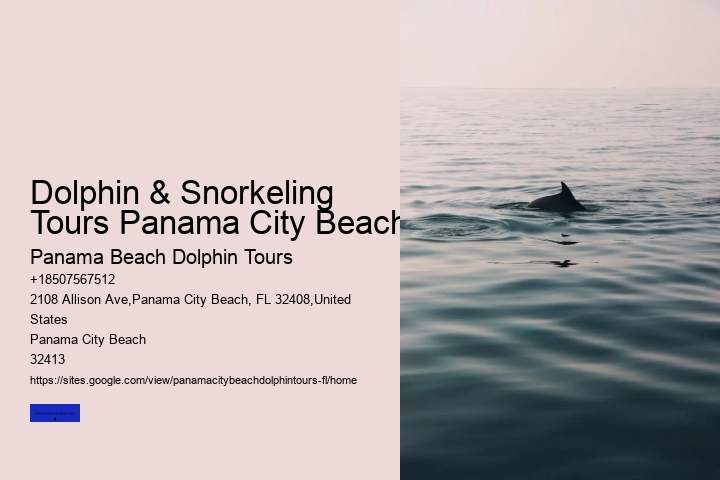 Panama City Beach Dolphin Swim