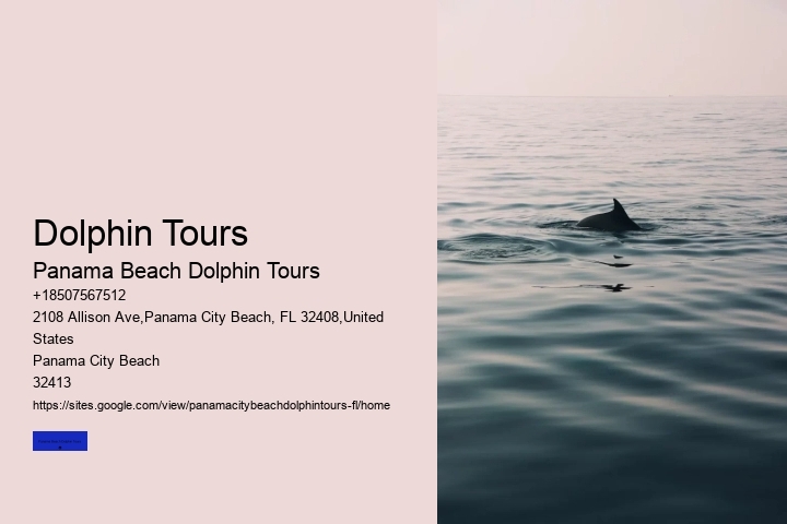 How Much Does It Cost To Swim With Dolphins In Panama City Beach