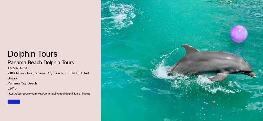 Top 7 Destinations For Whale Watching