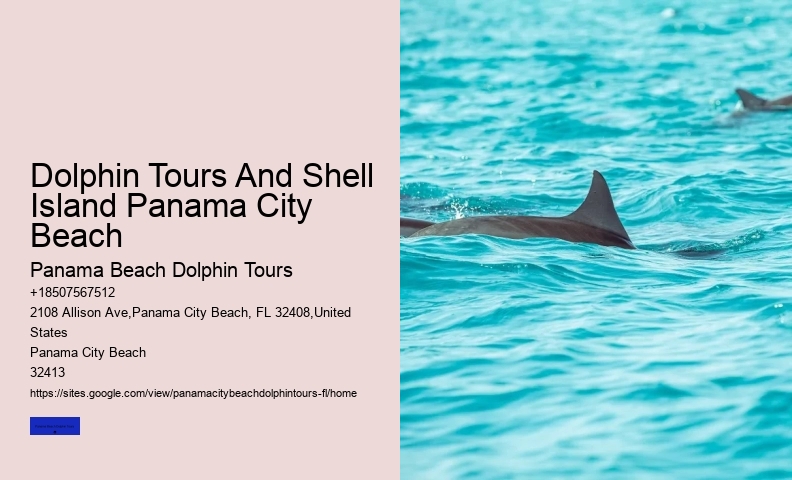 What Month Is Best For Dolphin Watching