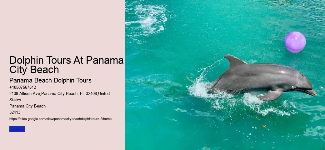 Why Do Dolphins Not Bite Hooks
