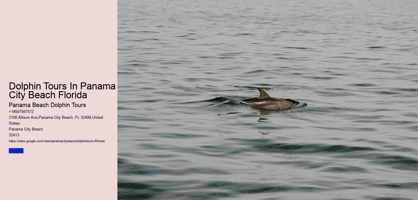 Dolphin Tours In Panama City Beach Florida