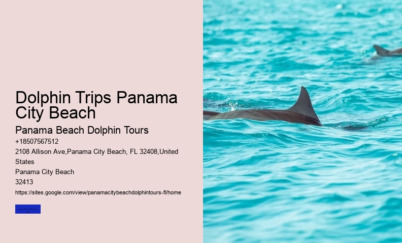 Airboat Tours Panama City Beach FL