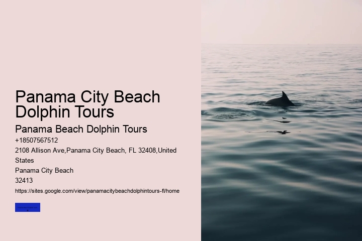 Panama City Beach Dolphin Jet Ski Tours