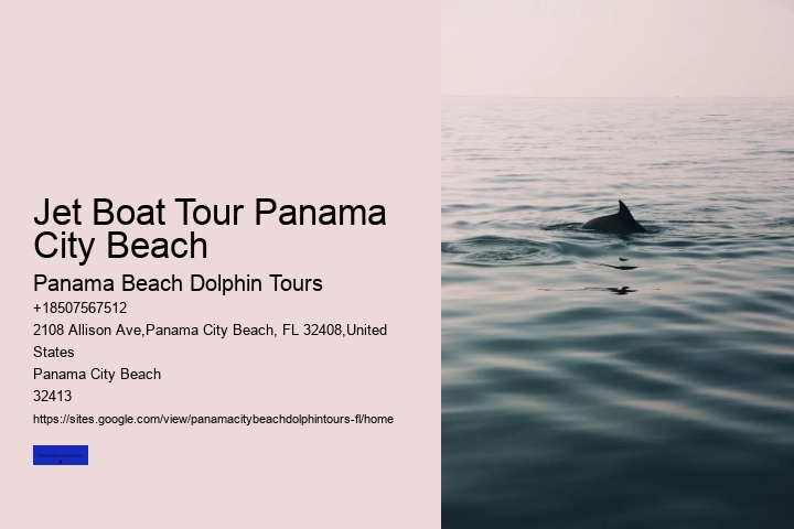 Panama City Beach Dolphin Sunset Cruise