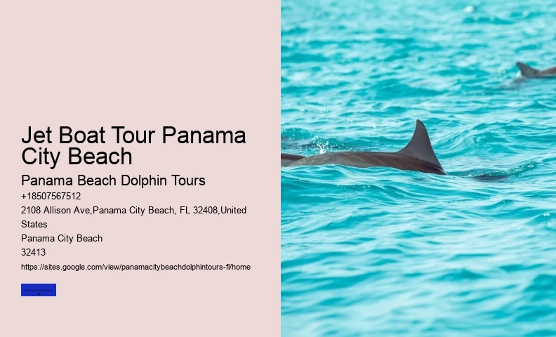 Panama City Beach Dolphin Tours & More Tours