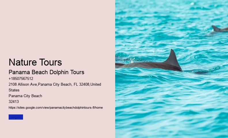 City Florida
