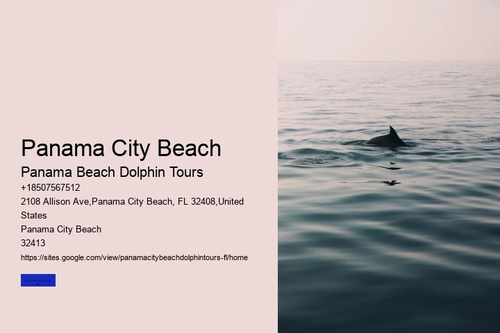 Panama City Beach Boat Tours To Shell Island