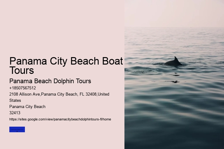 Is Swimming With Dolphins Ok For The Dolphins