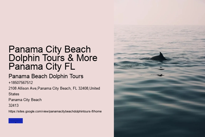 Panama City Beach Dolphin Tours & More Panama City FL