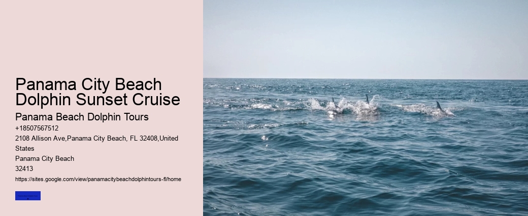 Find Out What Its Like To Swim With Dolphins