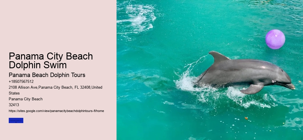 Dolphin Snorkeling