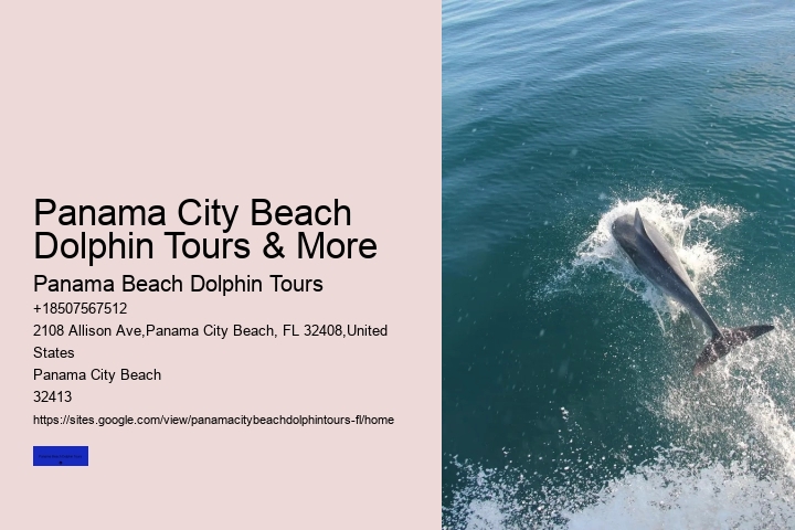 Dolphin Tours
