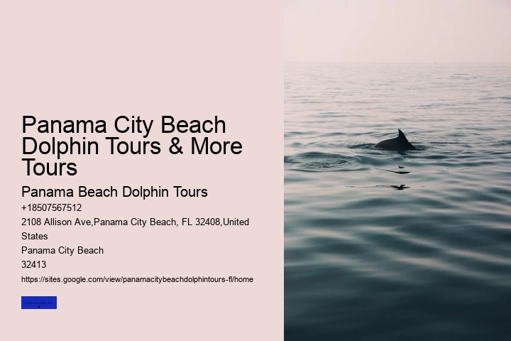 Why Do Dolphins Come Close To Shore In The Morning
