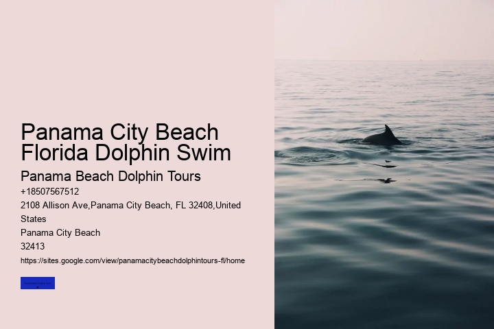 Panama City Beach Florida Dolphin Swim