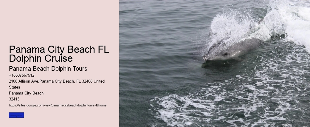 Swimming With Captive Dolphins