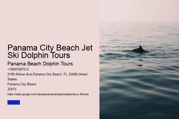 Panama City Beach Jet Ski Dolphin Tours