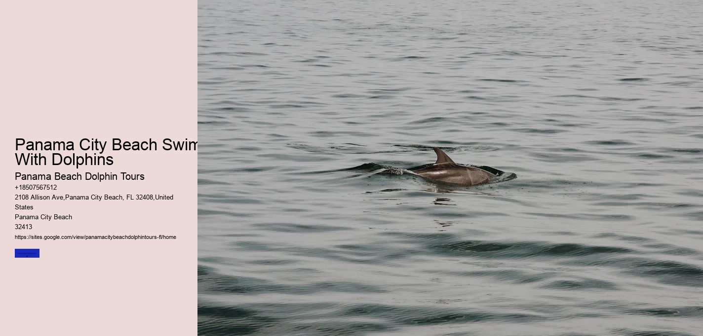 Panama City Beach Swim With Dolphins