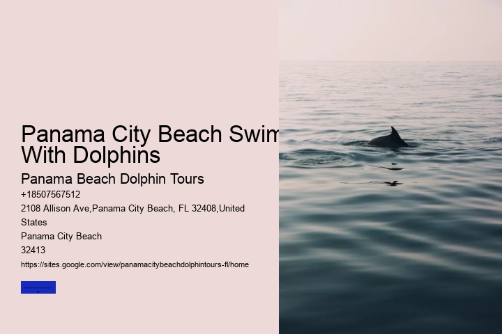 Is It Ethical To Swim With Dolphins