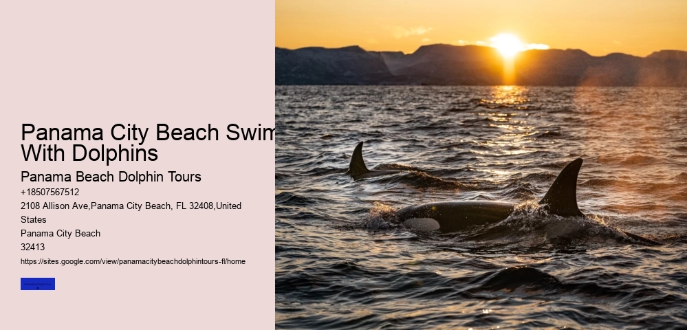 Scenic Cruises