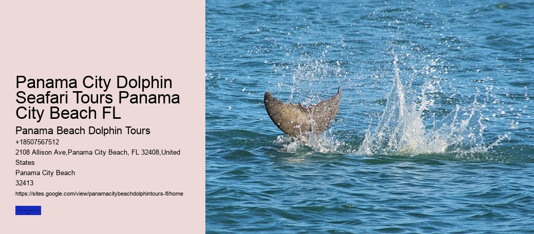 What Is The Dark Truth About Dolphins