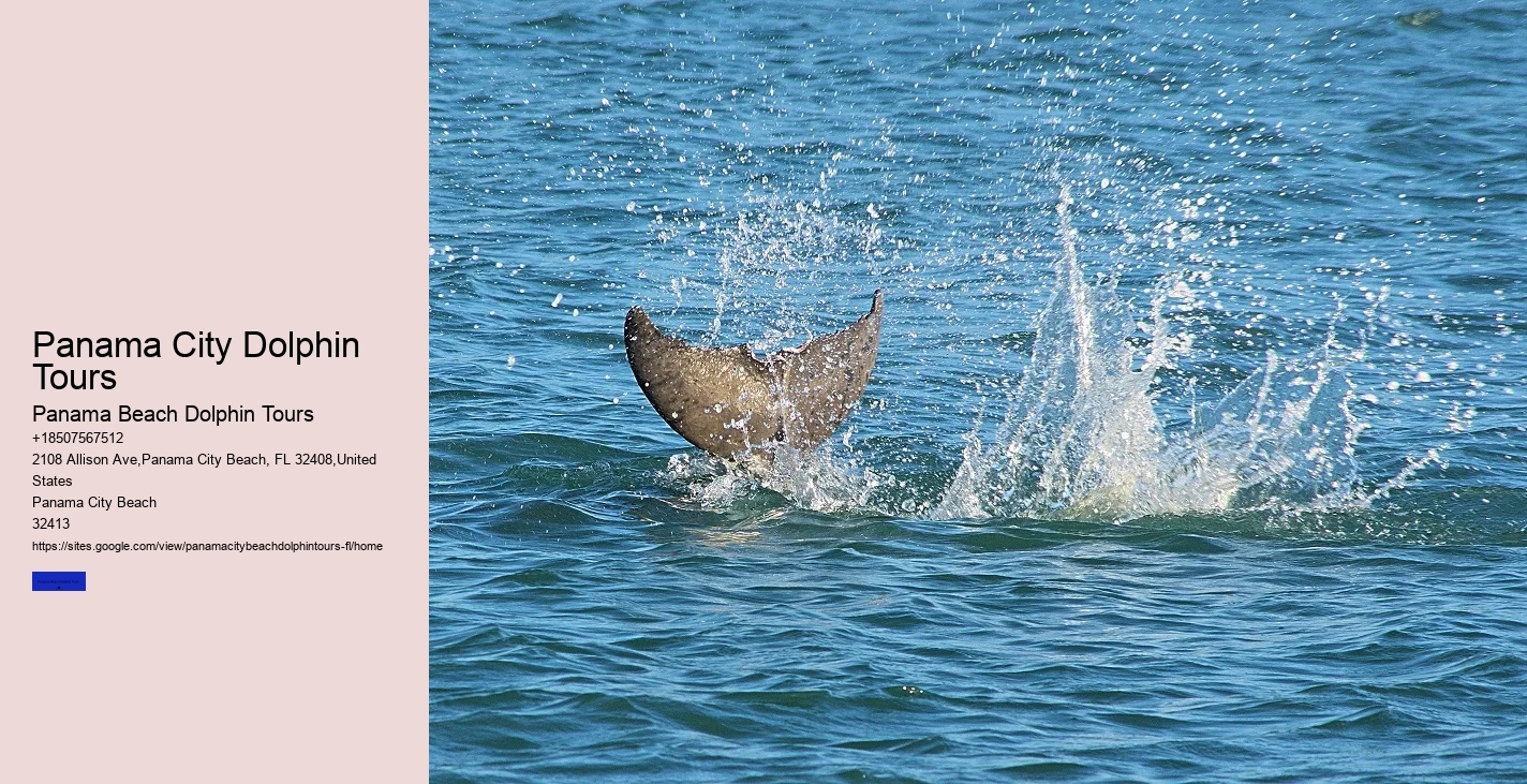 Panama City Beach FL Boat Tours