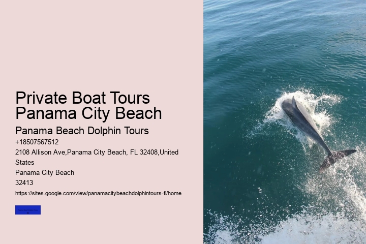 Shell Island Dolphin Tours Panama City Beach