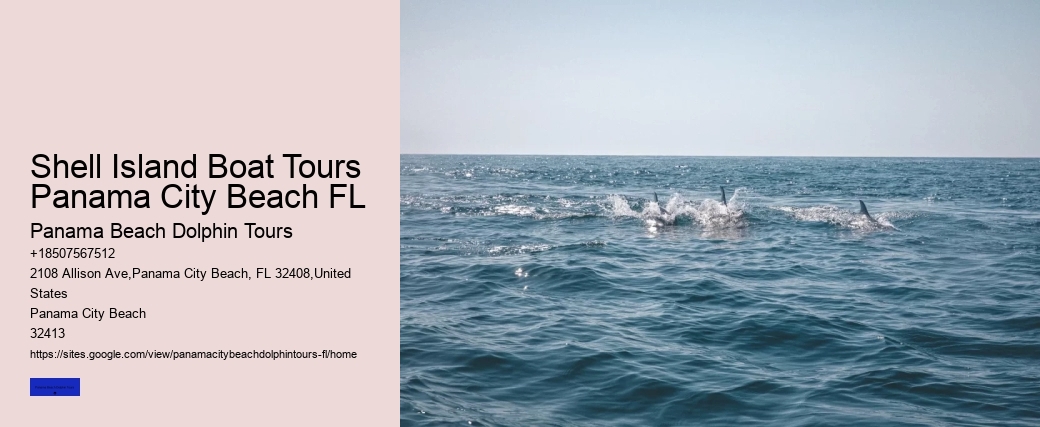 Shell Island Boat Tours Panama City Beach FL