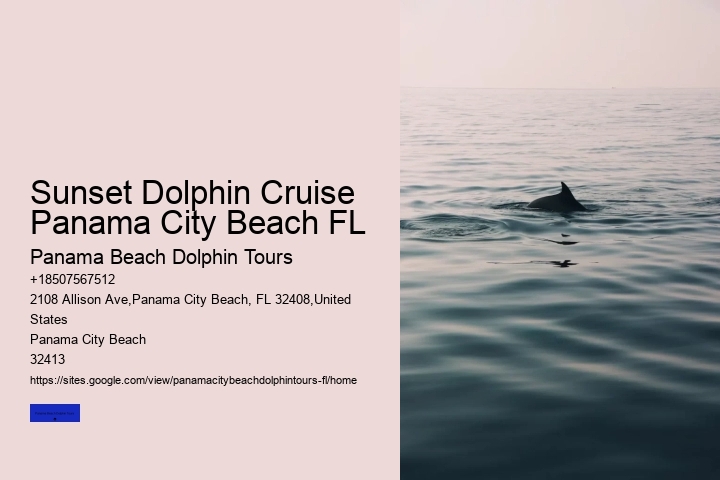 Sunset Dolphin Cruise Panama City Beach FL