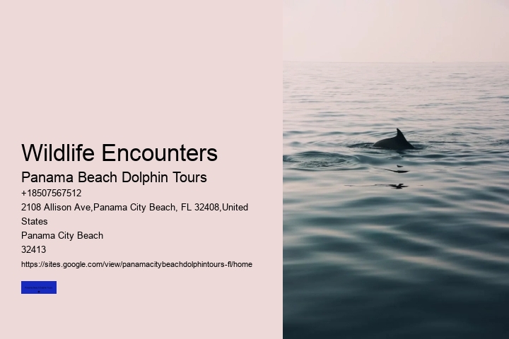 Boat Tours Panama City Beach FL