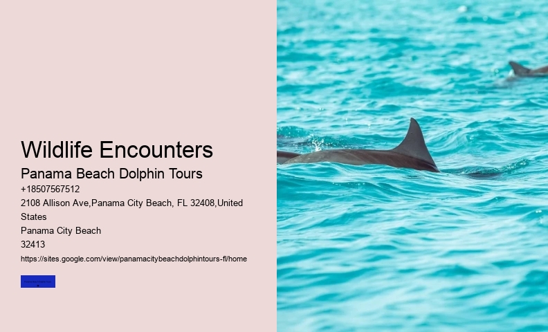 Swimming With Dolphins Is Not Safe For Your Family Nor The Dolphins