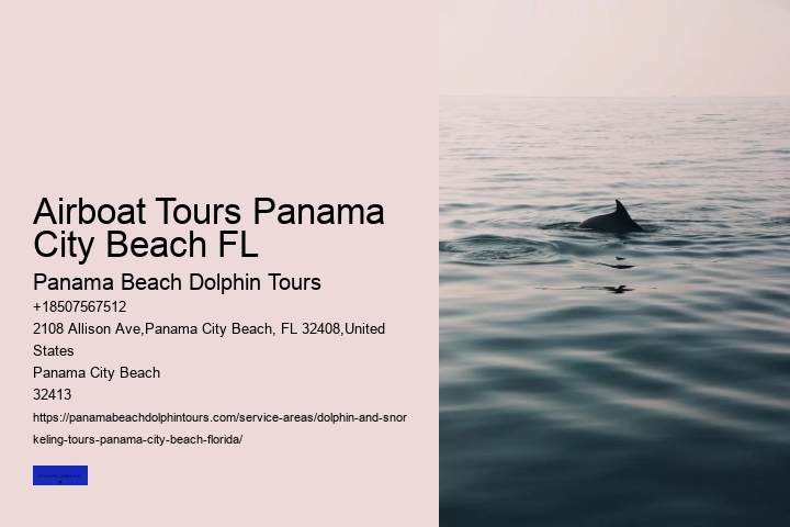 Jet Ski Dolphin Tours In Panama City Beach FL