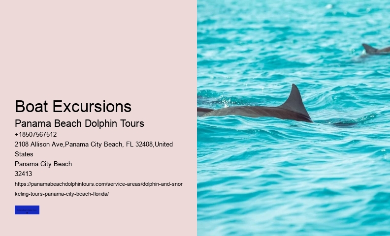Dolphins In