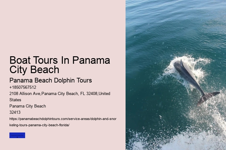 Beach Dolphin