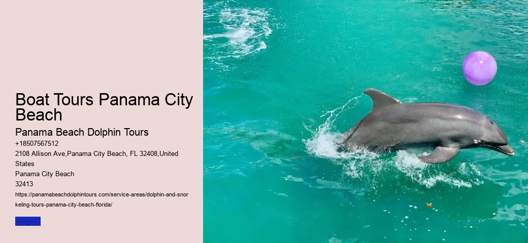 City Florida