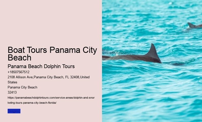 What Park InFlorida Can You Swim With The Dolphins