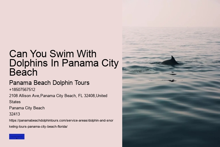 Diving With Dolphins