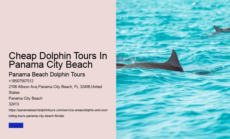 Best Sunset Dolphin Cruise Panama City Beach