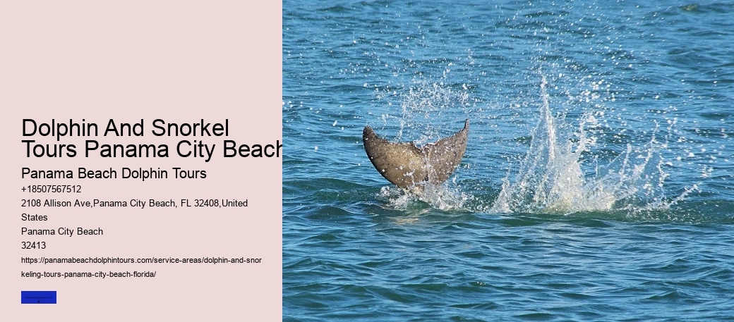 Shell Island Kayak Rental