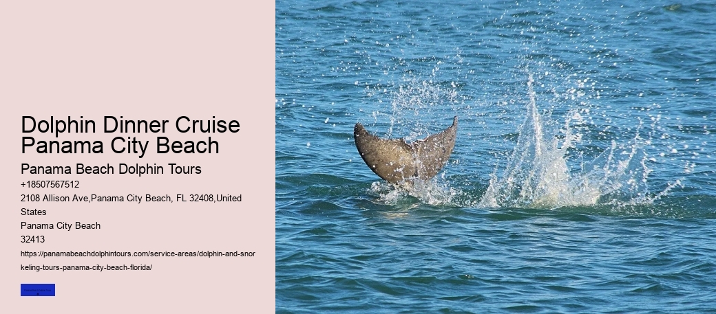 What Is The Best Month To Go Whale Watching