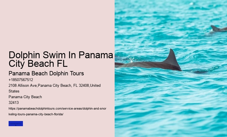 Jet Ski Dolphin Tours Panama City Beach Florida