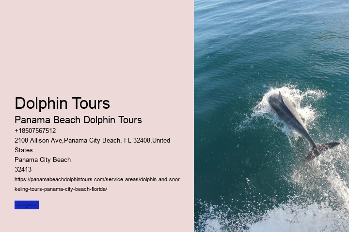 Swim With A Dolphin In Panama City Beach Florida