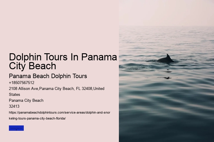 Do Dolphins Like To Swim With You