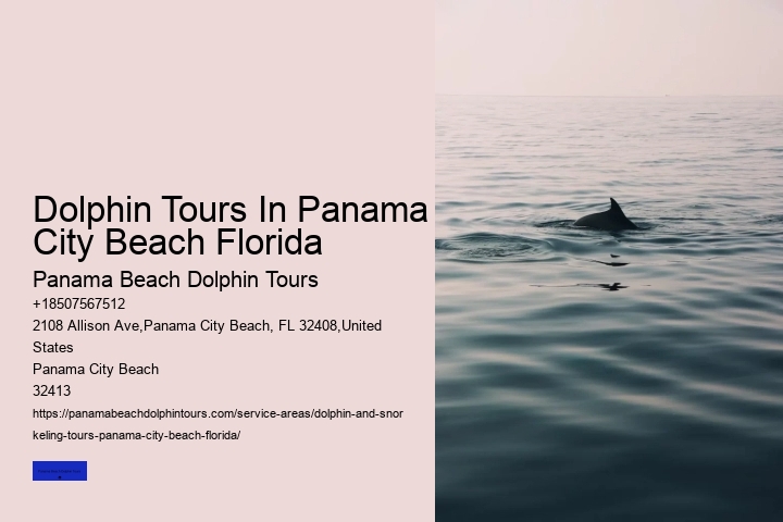 Sunset Dolphin Cruise Panama City Beach FL