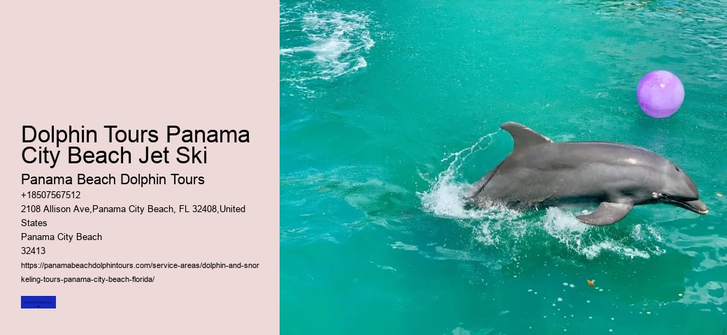 Shell Island Dolphin Tours Panama City Beach
