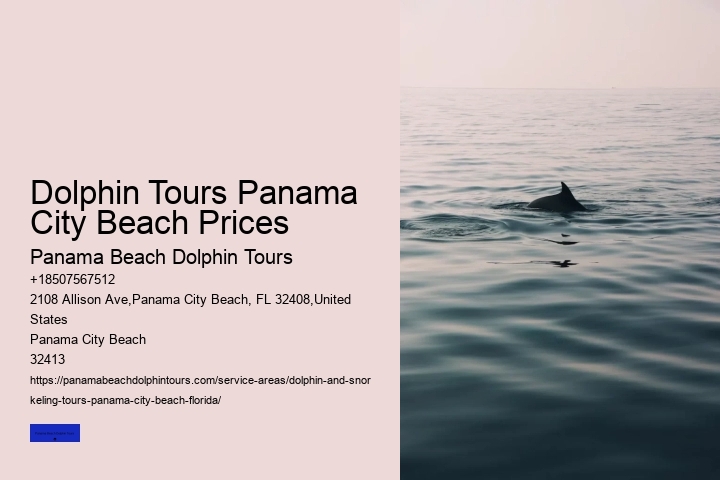 Panama City Beach Jet Ski Dolphin Tours